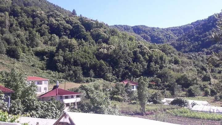 Ayancık Yeşilyurt Köyü Resimleri 7