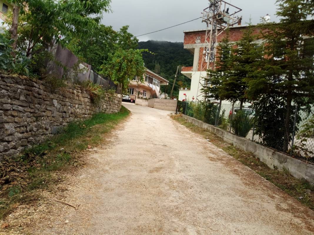 Ayancık Yeşilyurt Köyü Resimleri 8