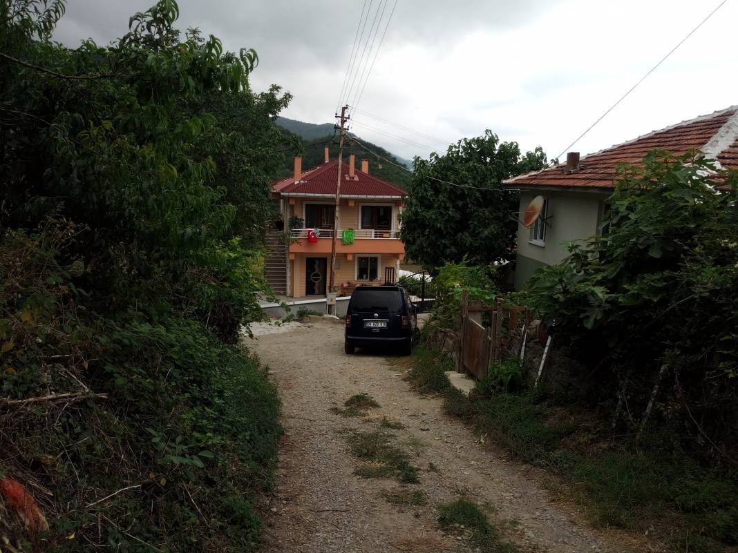 Ayancık Yeşilyurt Köyü Resimleri 9