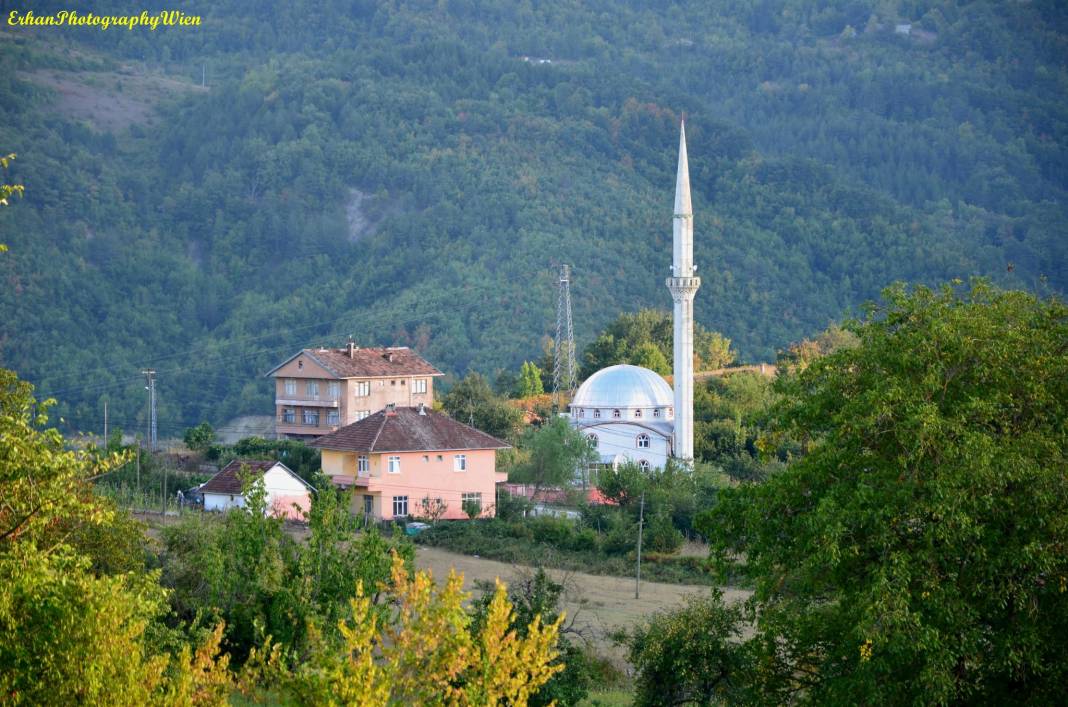 Ayancık Zaviye Köyü Resimleri 1
