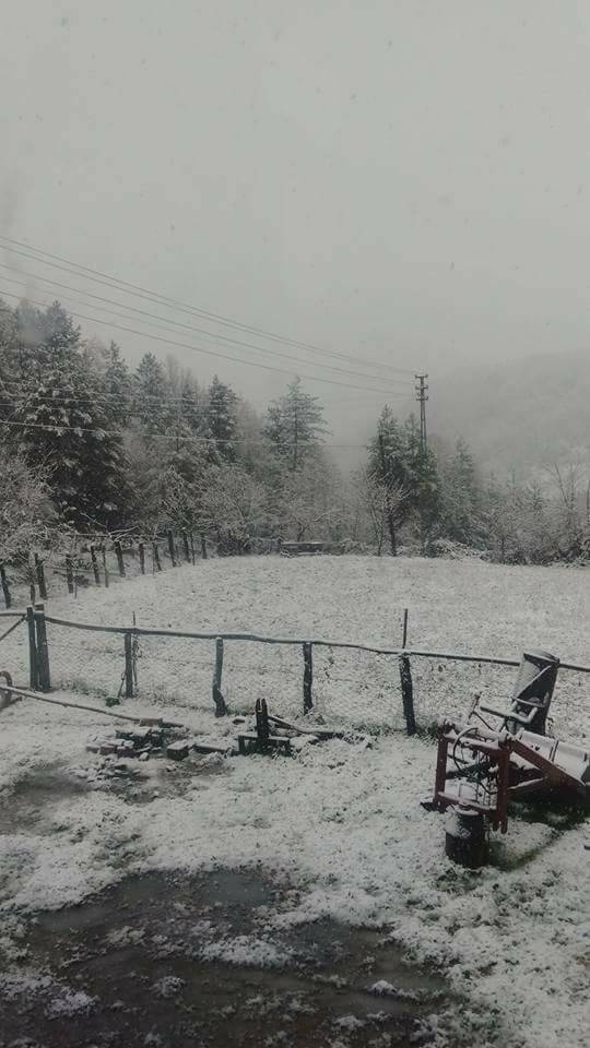 Ayancık Zaviye Köyü Resimleri 10