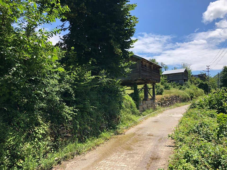 Ayancık Zaviye Köyü Resimleri 11