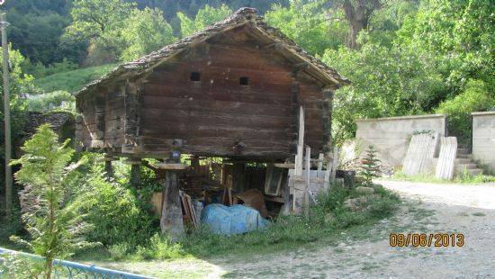 Ayancık Zaviye Köyü Resimleri 6