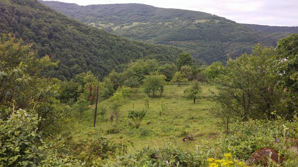 Ayancık Zaviye Köyü Resimleri 8