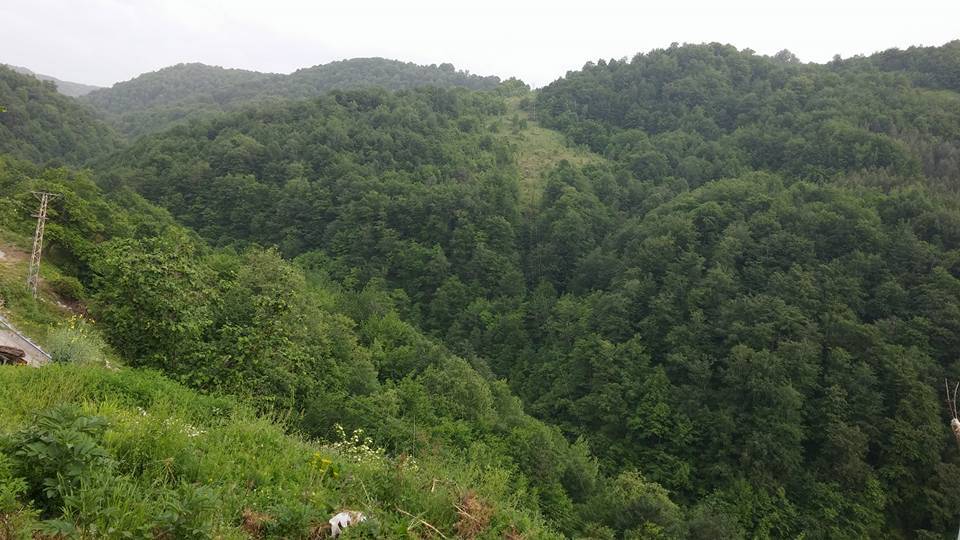 Ayancık Zaviye Köyü Resimleri 9