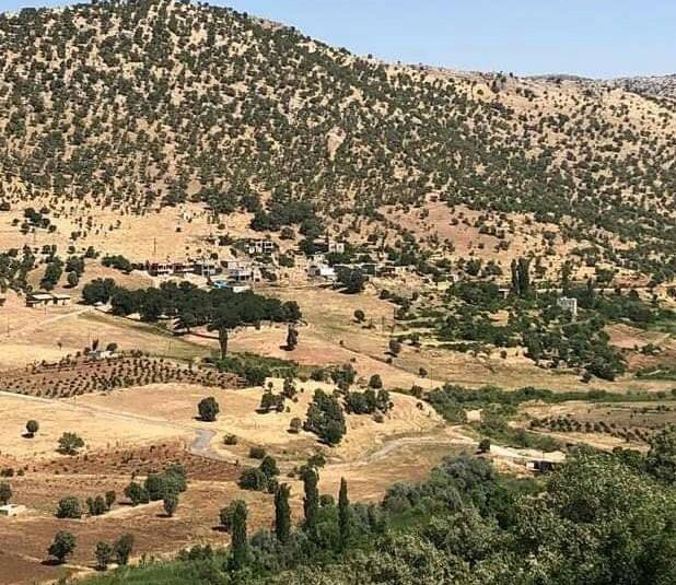 Gercüş Dereiçi Köyü Resimleri 4