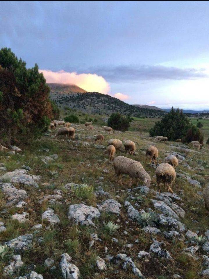 Yeşilova Bedirli Köyü Resimleri 5