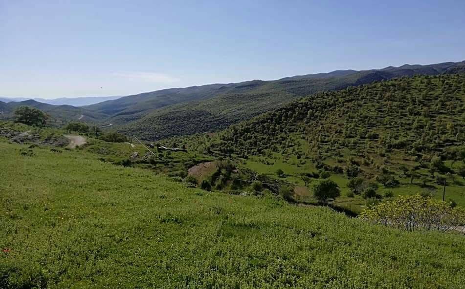 Gercüş Dereli Köyü Resimleri 4