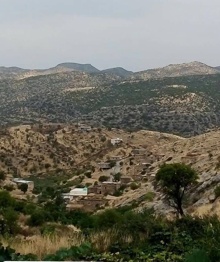 Gercüş Dereli Köyü Resimleri 8