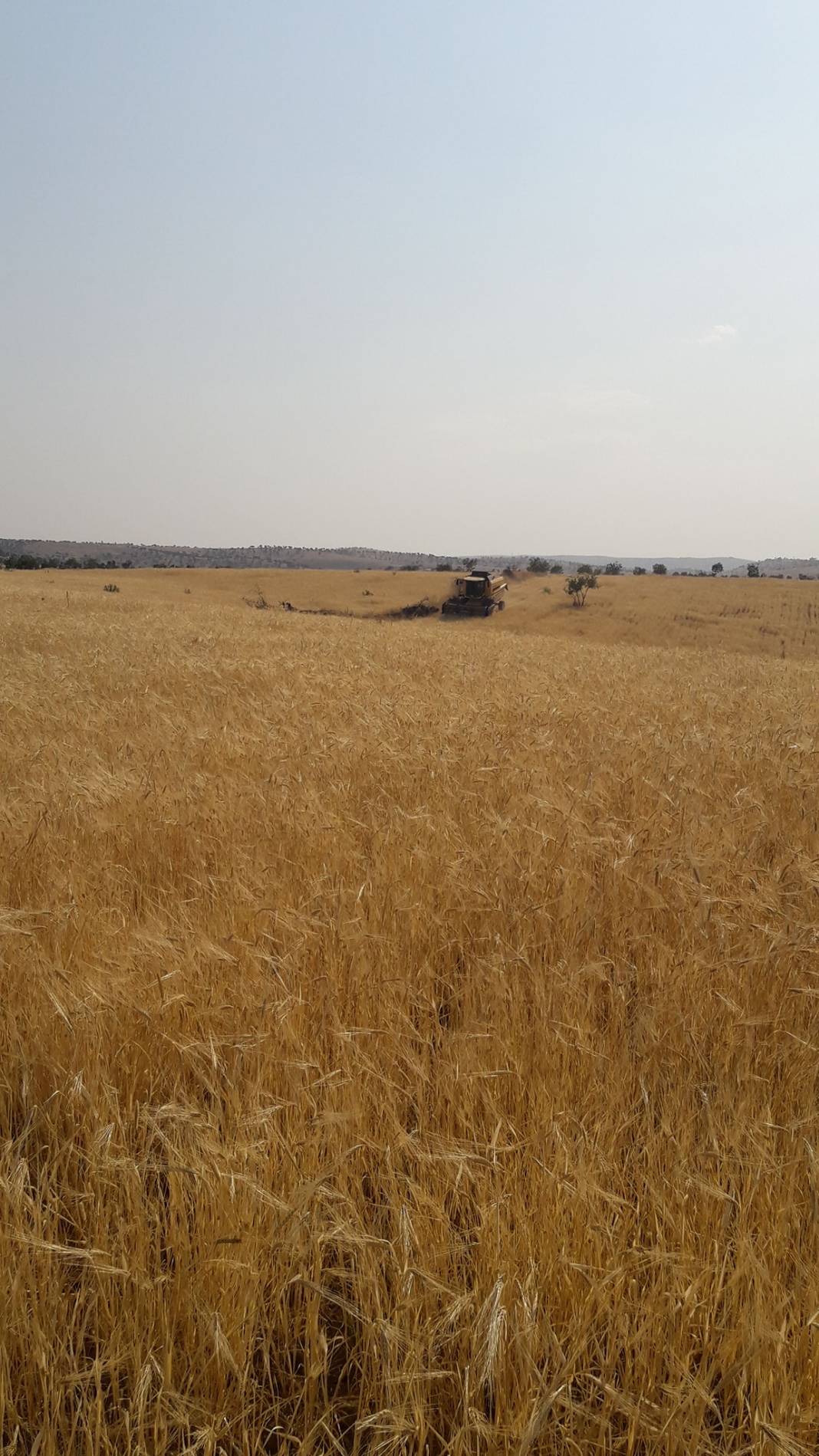 Gercüş Doruk Köyü Resimleri 10