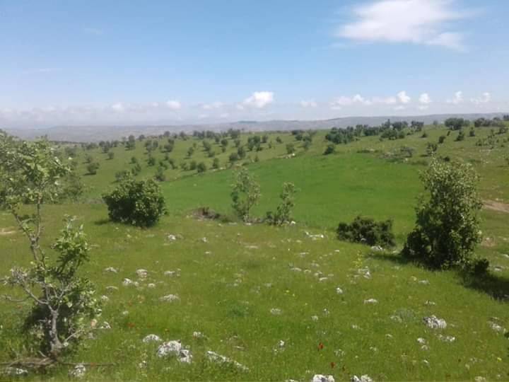 Gercüş Doruk Köyü Resimleri 7