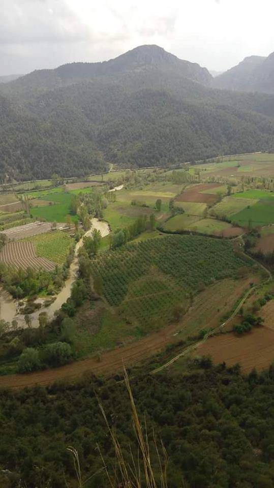 Gercüş Düzmeşe Köyü Resimleri 15