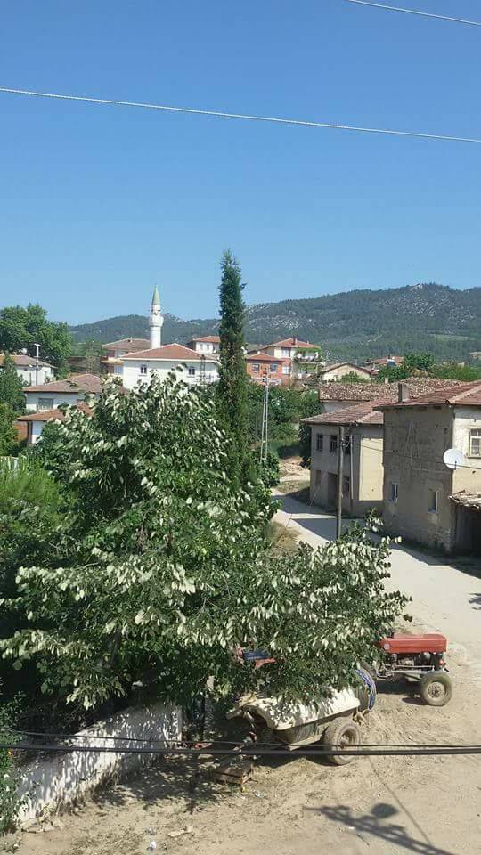 Gercüş Düzmeşe Köyü Resimleri 17