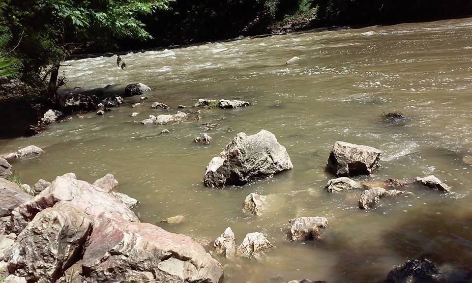 Gercüş Düzmeşe Köyü Resimleri 4