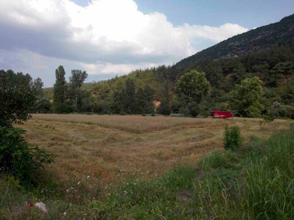 Gercüş Düzmeşe Köyü Resimleri 5