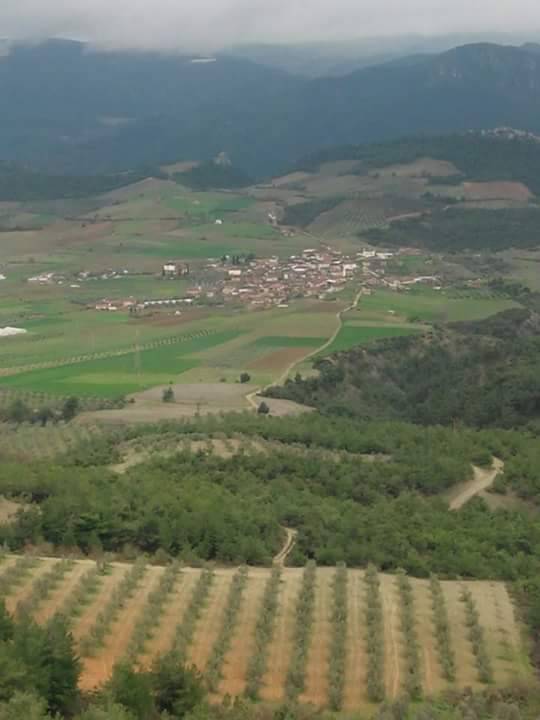 Gercüş Düzmeşe Köyü Resimleri 7