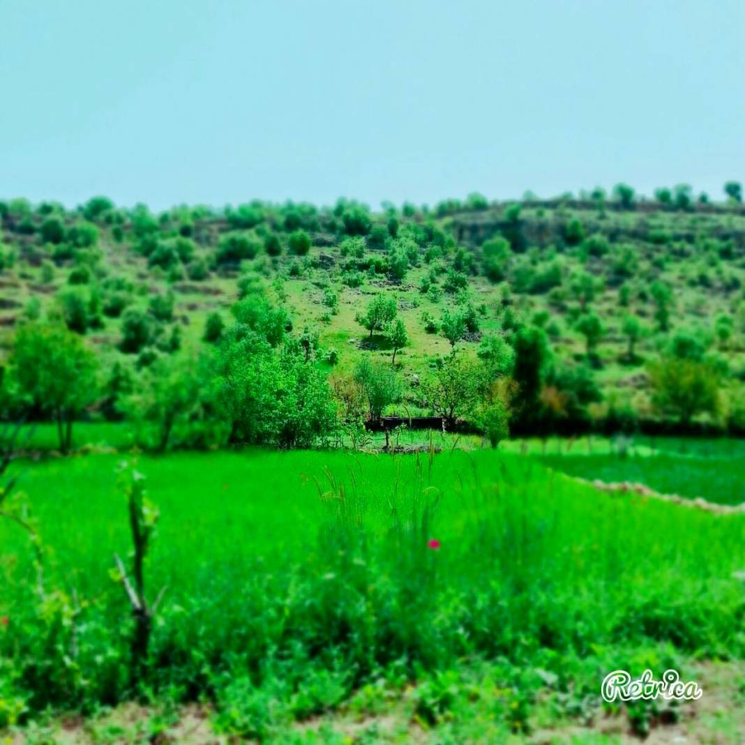 Gercüş Geçitköy Köyü Resimleri 4