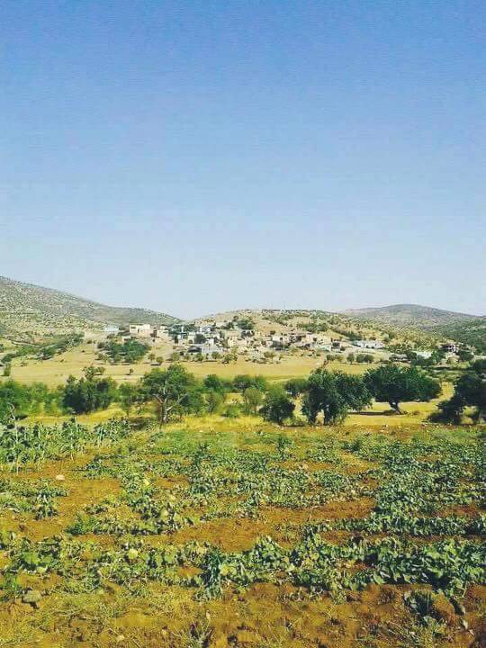 Gercüş Gökçe Köyü Resimleri 3