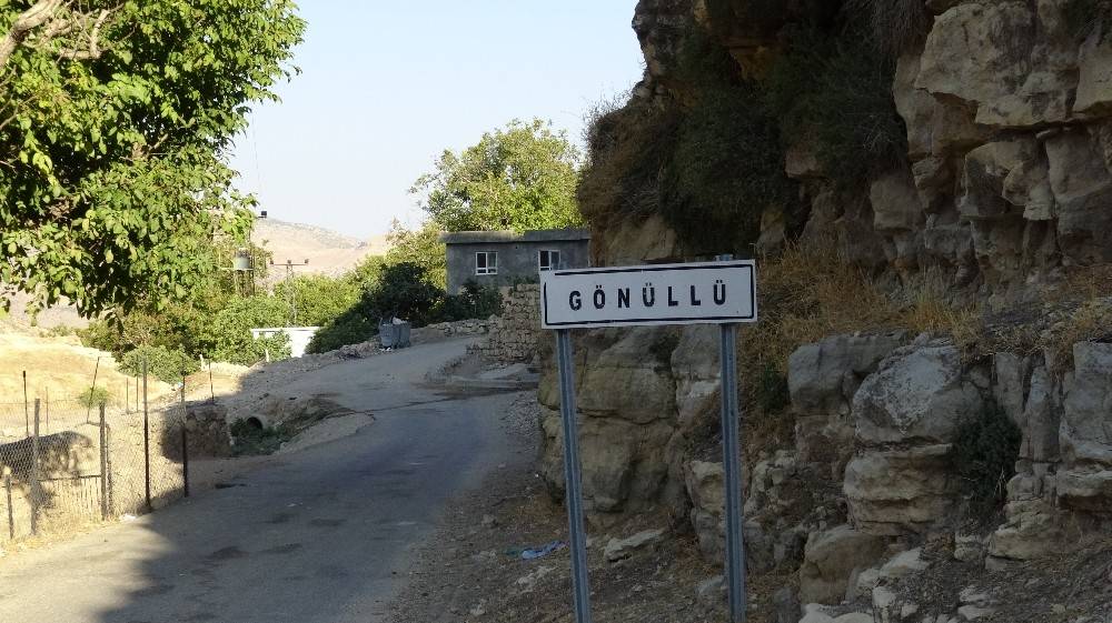 Gercüş Gönüllü Köyü Resimleri 12
