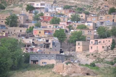 Gercüş Gönüllü Köyü Resimleri 6