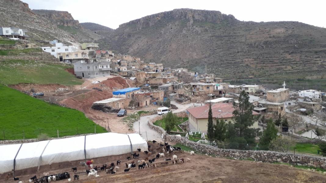 Gercüş Gönüllü Köyü Resimleri 9