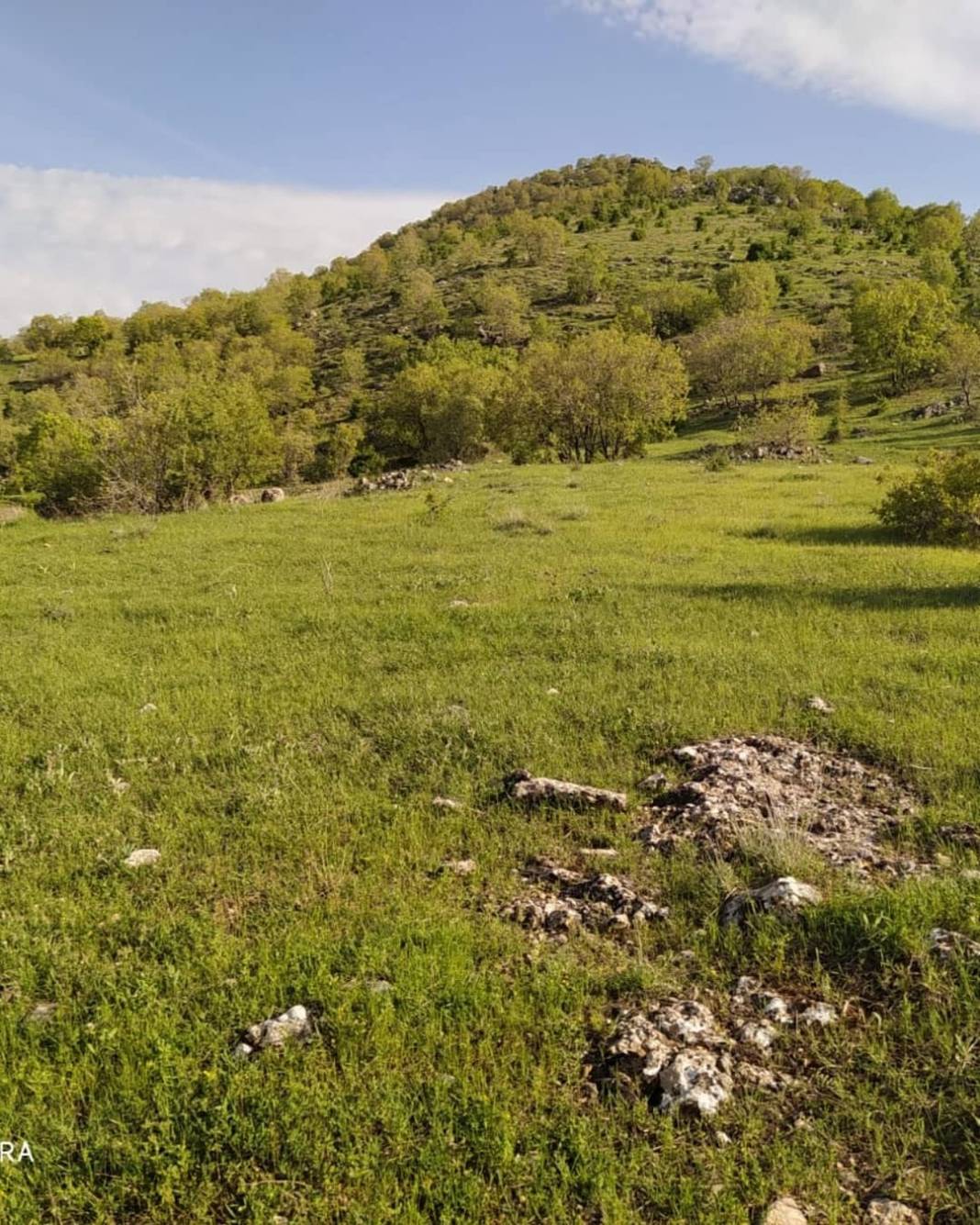 Gercüş Gürbüz Köyü Resimleri 14