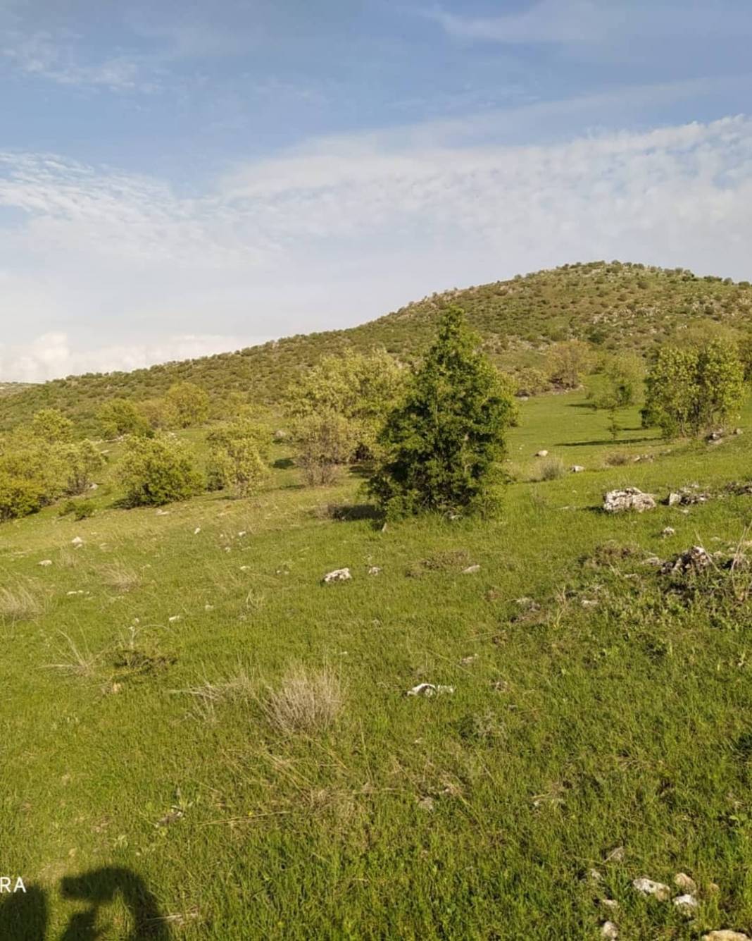 Gercüş Gürbüz Köyü Resimleri 15