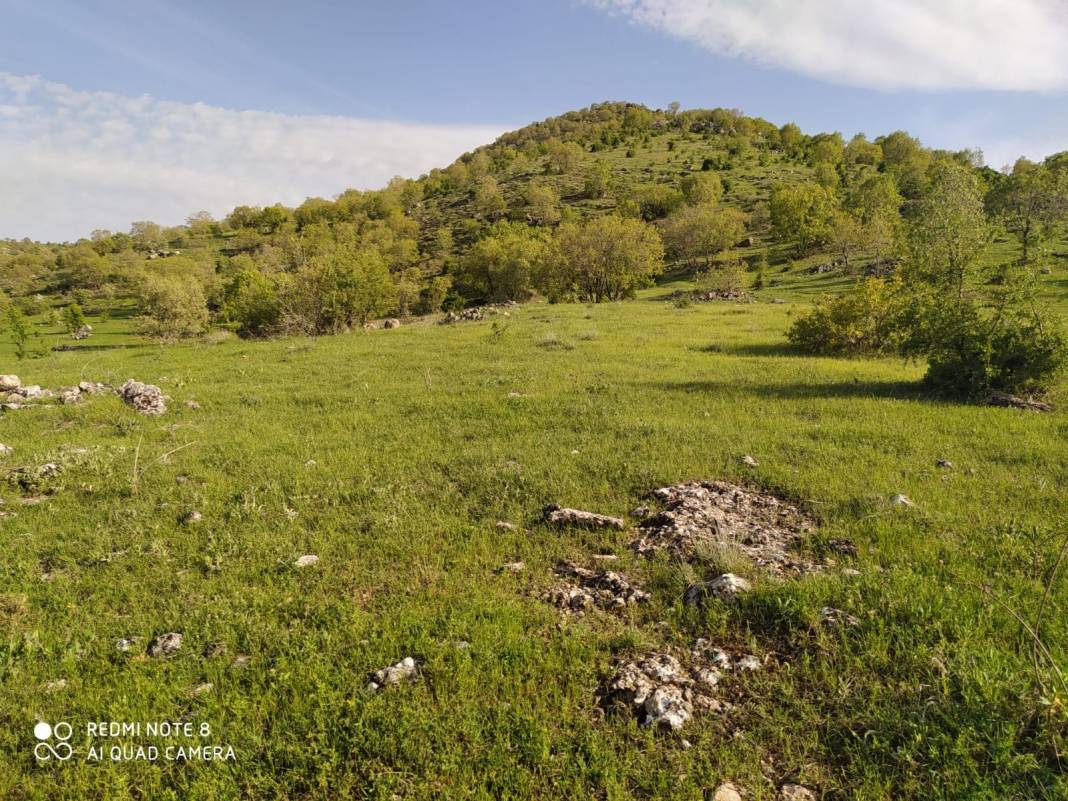 Gercüş Gürbüz Köyü Resimleri 2