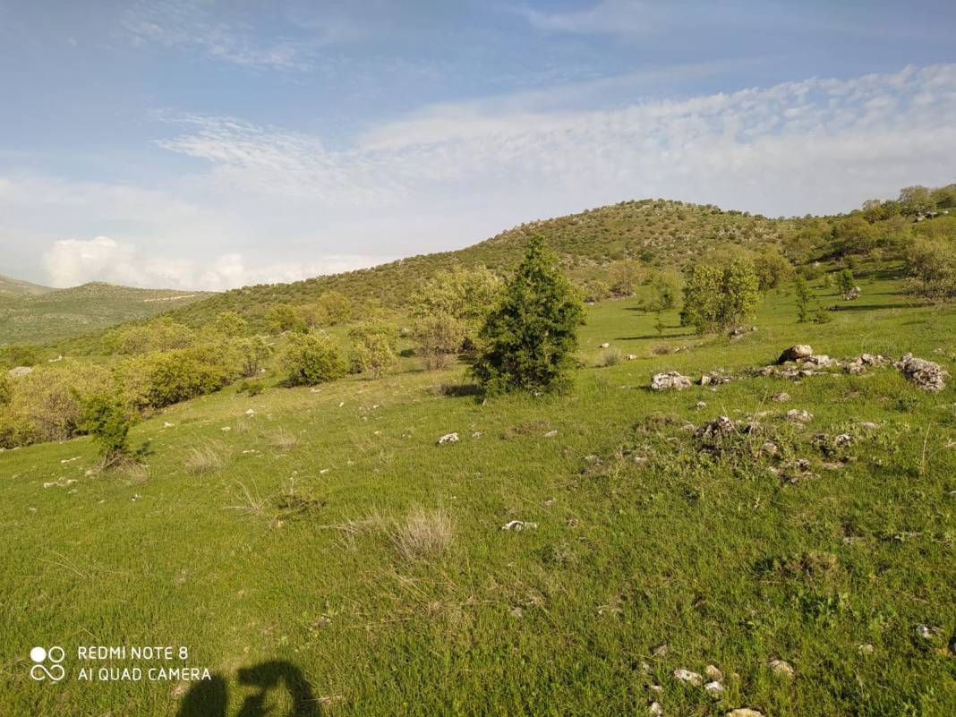 Gercüş Gürbüz Köyü Resimleri 4