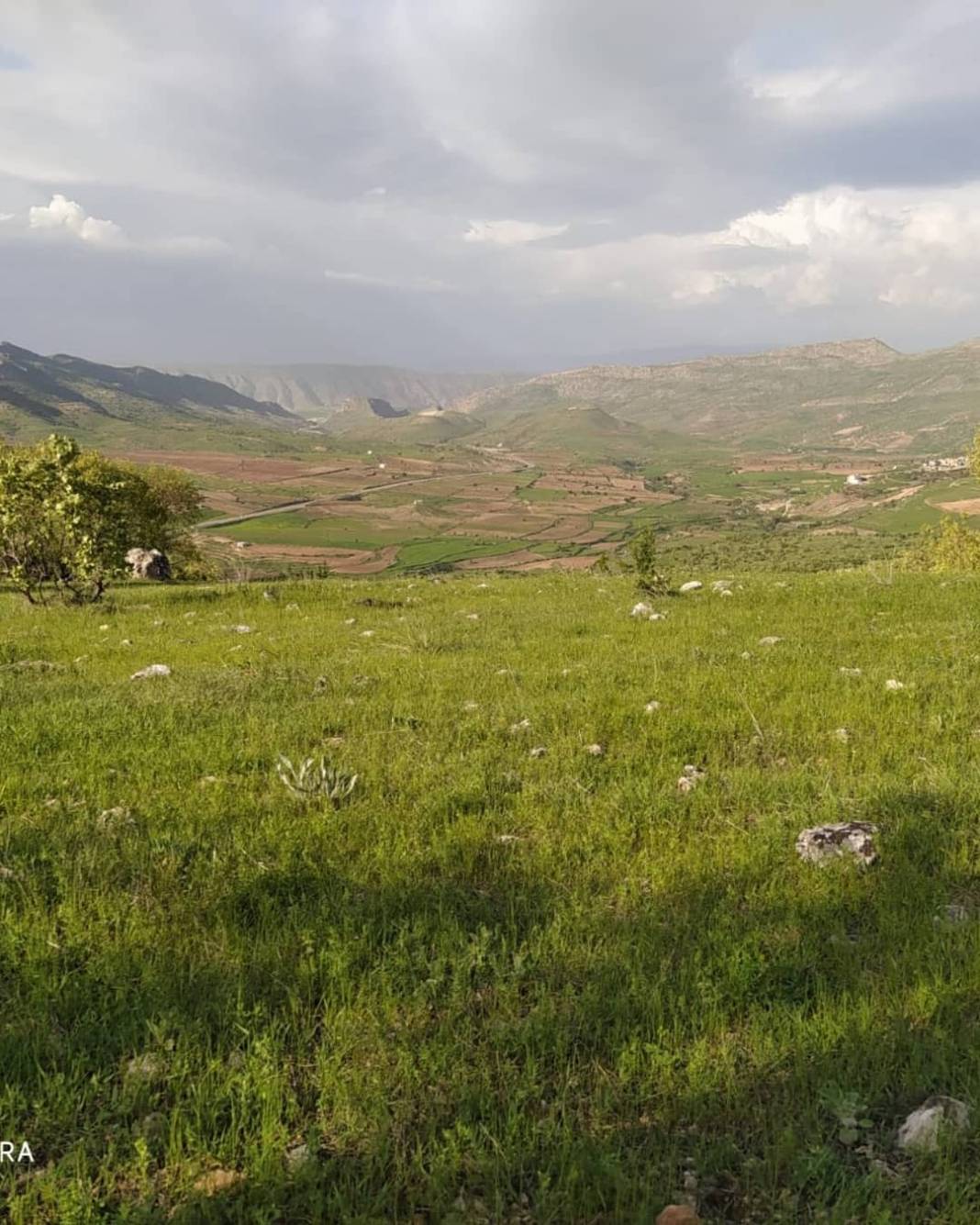 Gercüş Gürbüz Köyü Resimleri 9