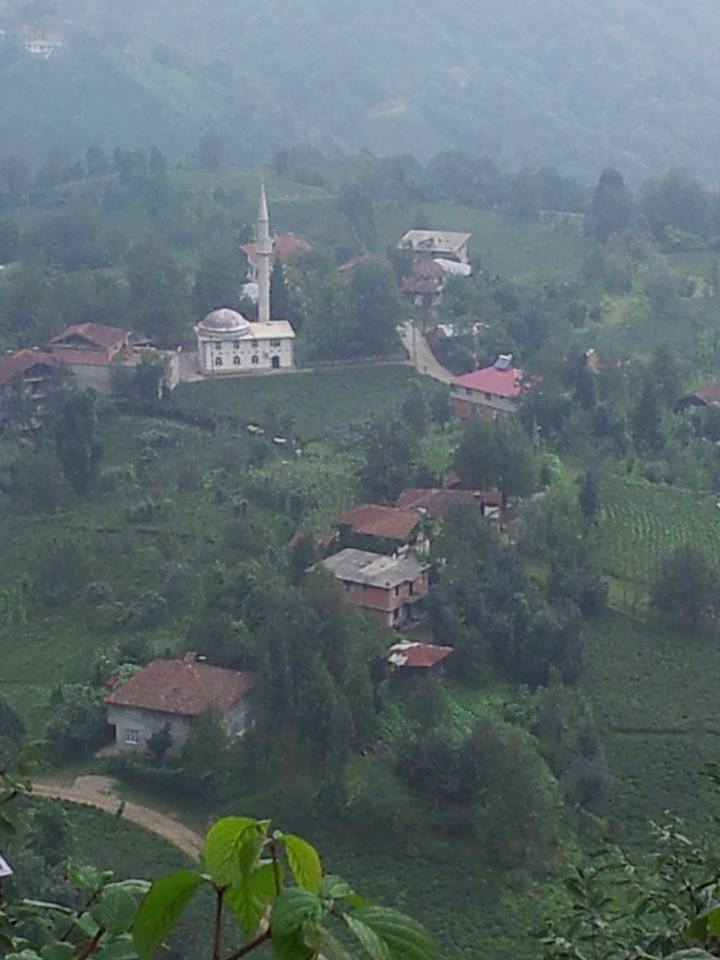 Çayeli Düzgeçit Köyü Resimleri 7