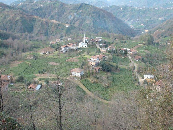 Çayeli Düzgeçit Köyü Resimleri 9
