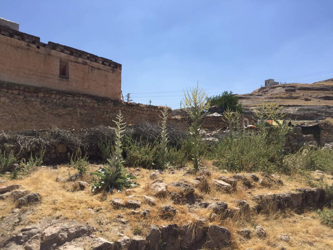 Gercüş Kantar Köyü Resimleri 6