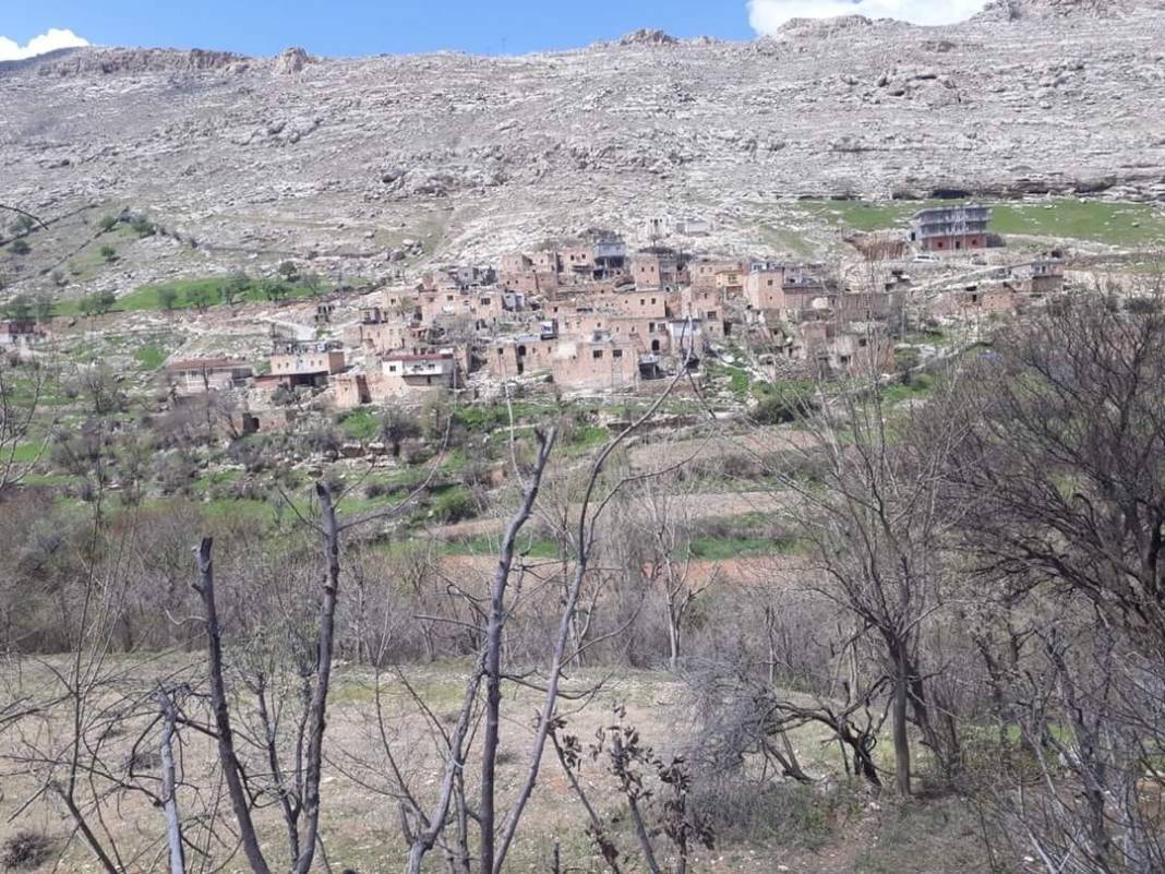 Gercüş Kayalar Köyü Resimleri 4