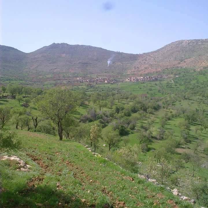 Gercüş Kayalar Köyü Resimleri 5