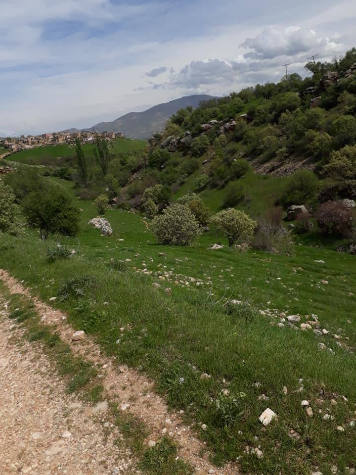 Gercüş Kesiksu Köyü Resimleri 14