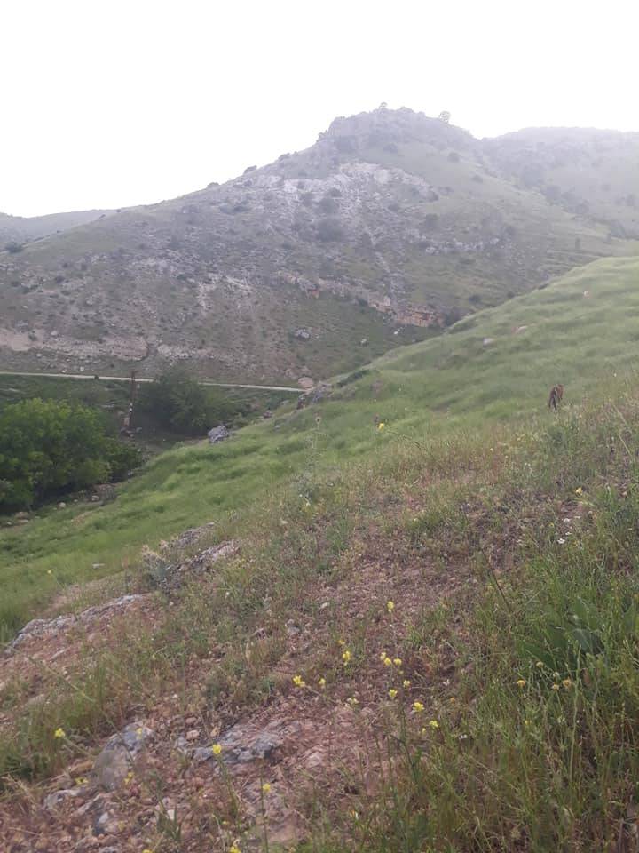 Gercüş Kesiksu Köyü Resimleri 18