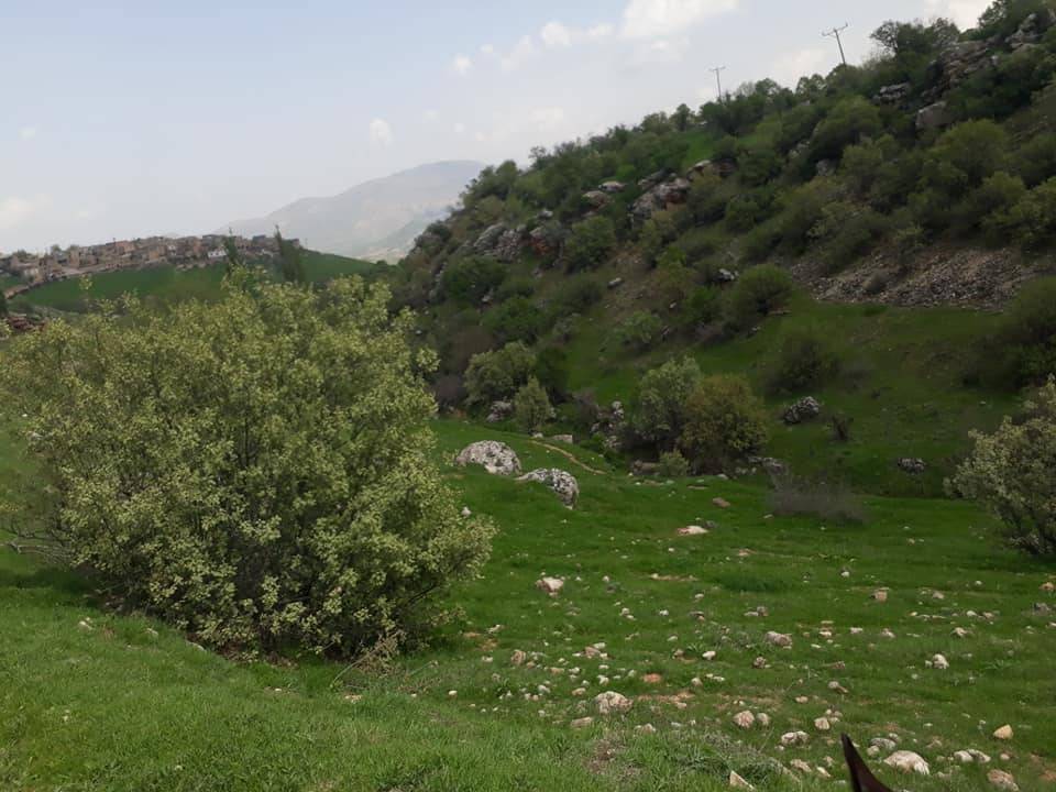 Gercüş Kesiksu Köyü Resimleri 8