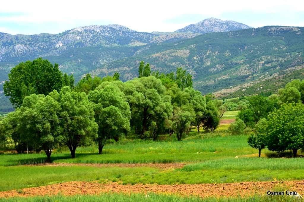 Yeşilova Güney Köyü Resimleri 9