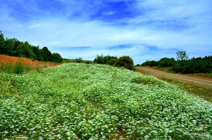 Yeşilova Işıklar Köyü Resimleri 1