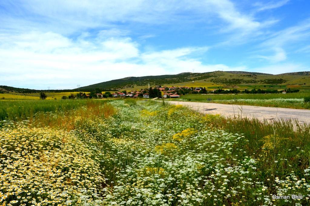 Yeşilova Işıklar Köyü Resimleri 7