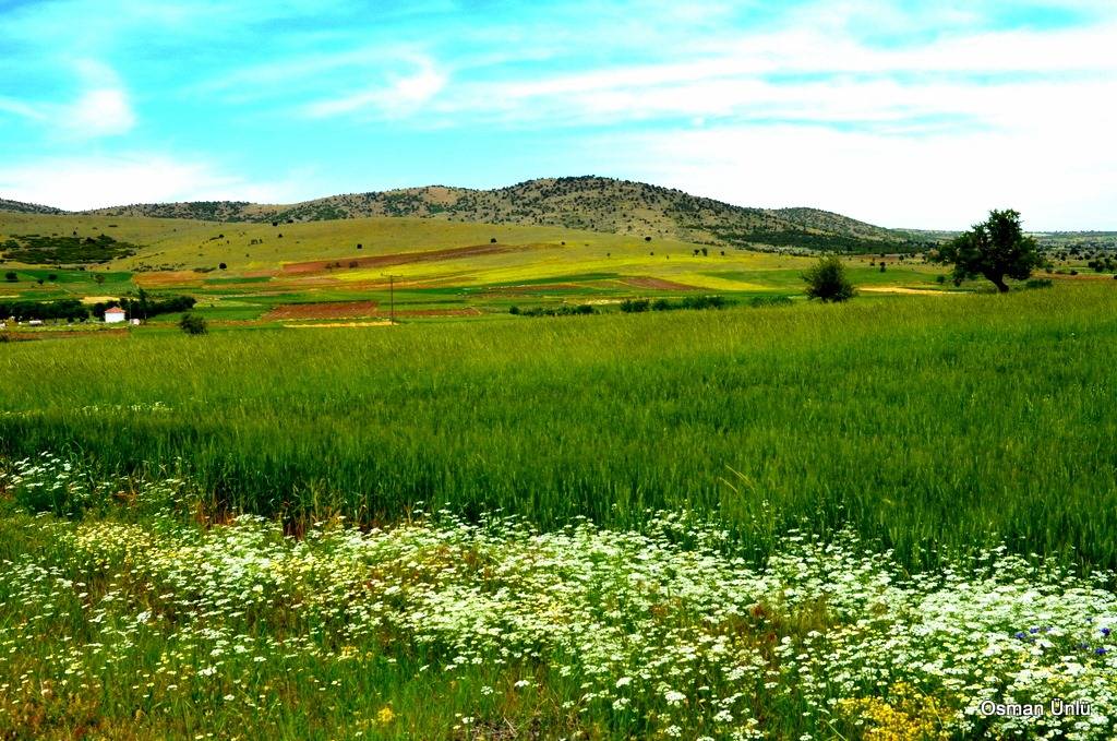 Yeşilova Işıklar Köyü Resimleri 8