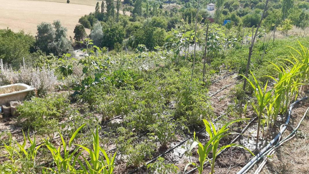 Çorum Çukurören Köyü Resimleri 10