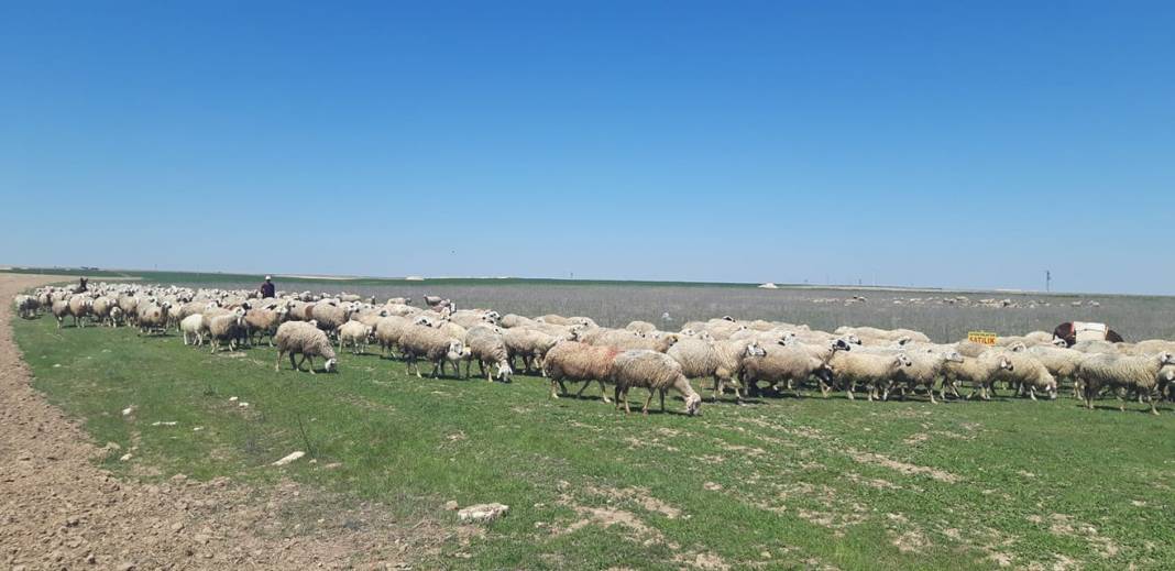 Selçuklu Kaleköy Köyü Resimleri 2