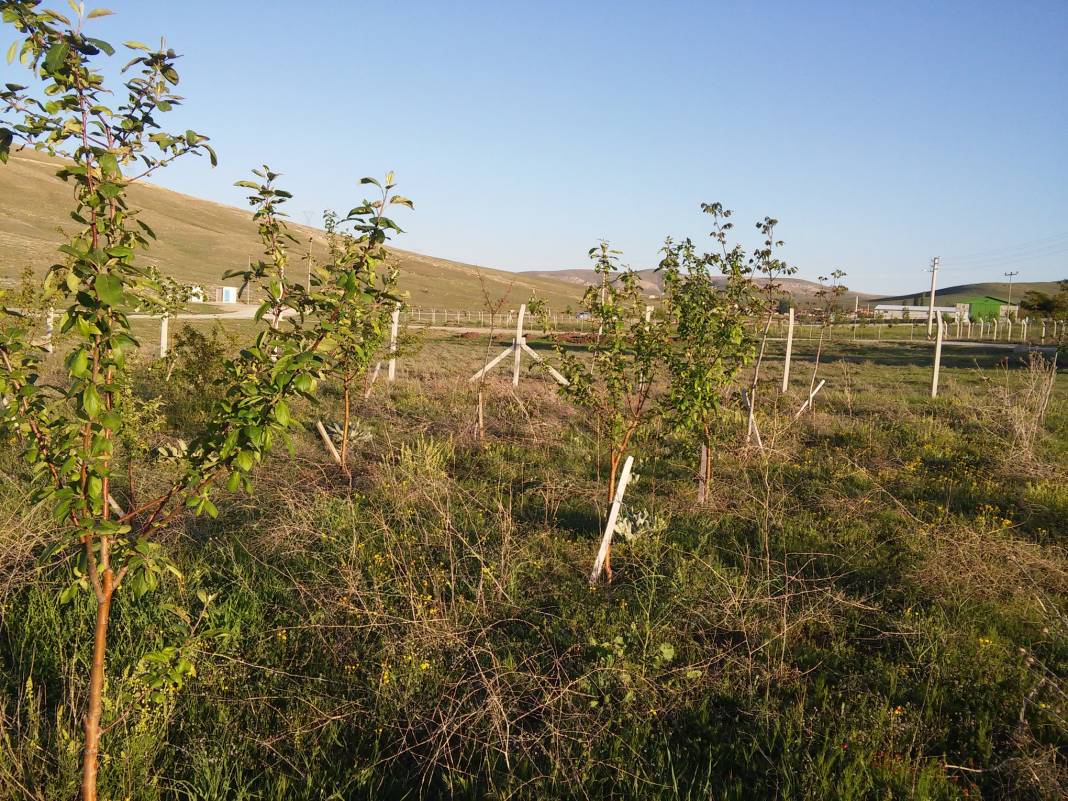 Selçuklu Meydanköy Köyü Resimleri 2