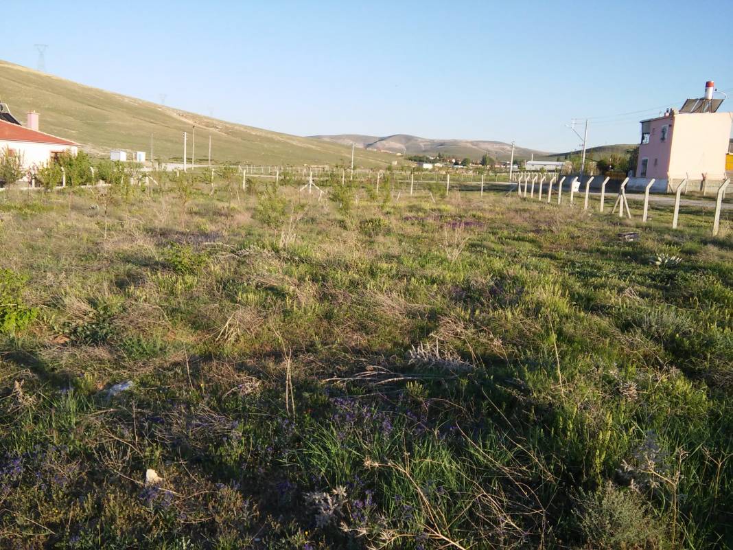 Selçuklu Meydanköy Köyü Resimleri 4