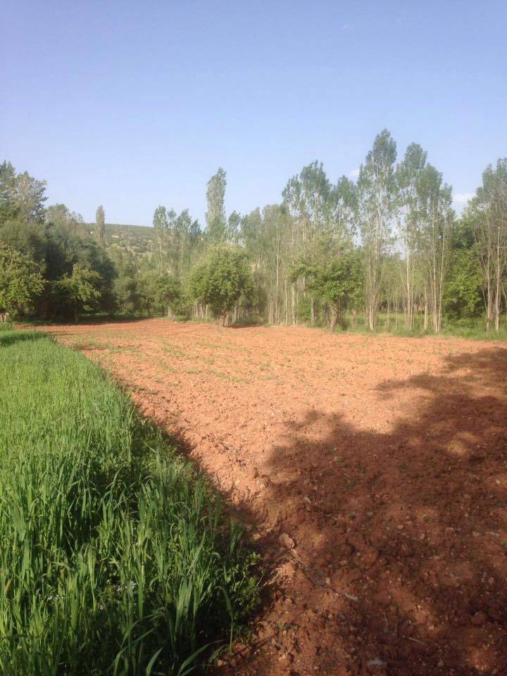 Selçuklu Tepekent Köyü Resimleri 3