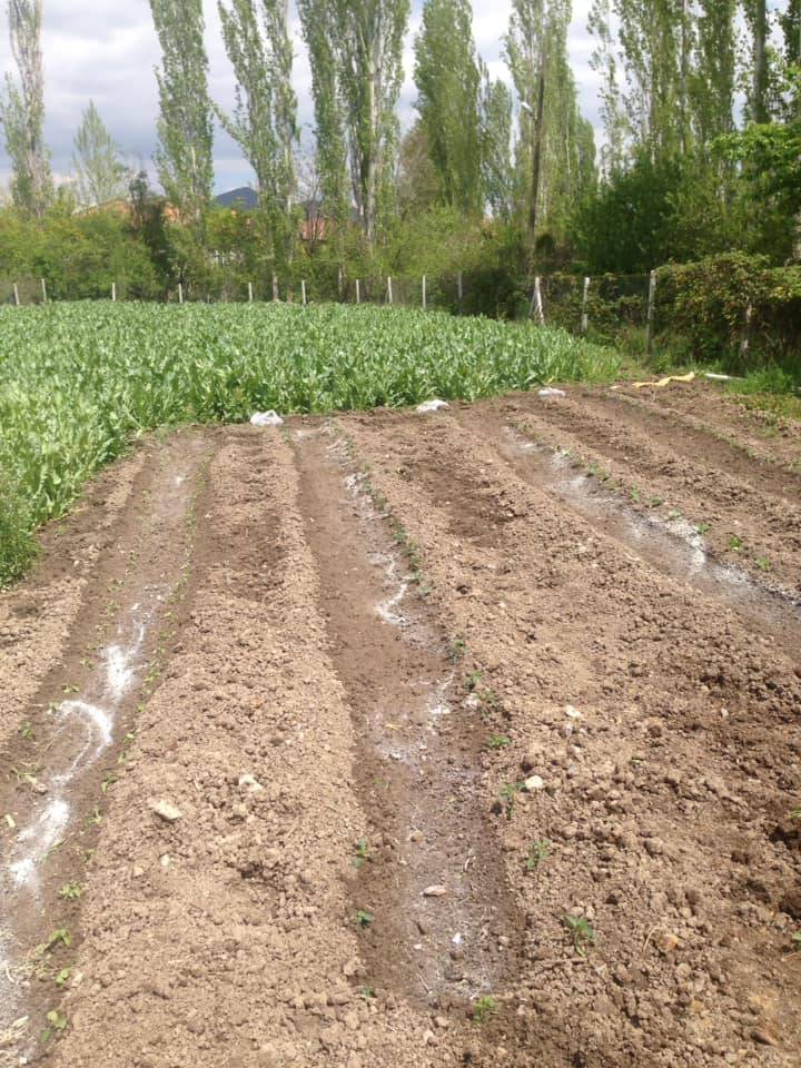 Seydişehir Akçalar Köyü Resimleri 4