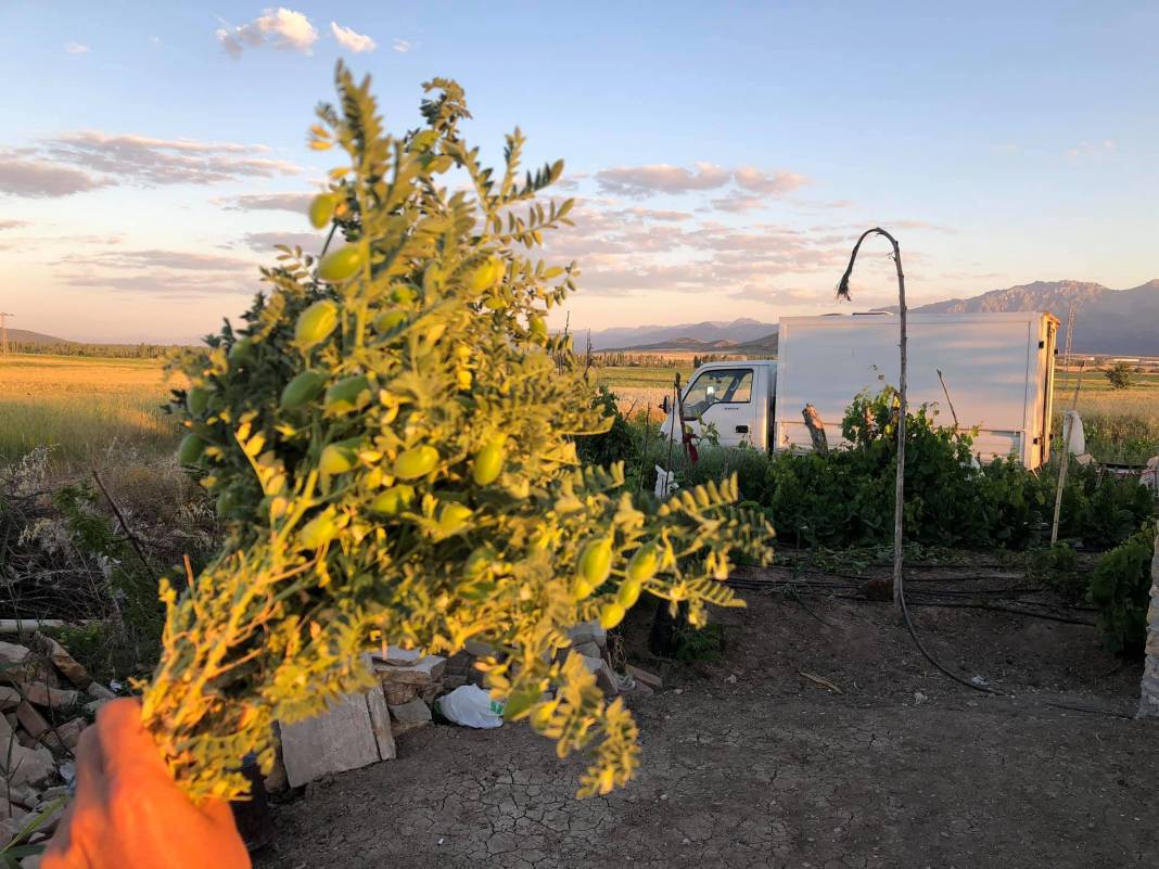 Seydişehir Akçalar Köyü Resimleri 5