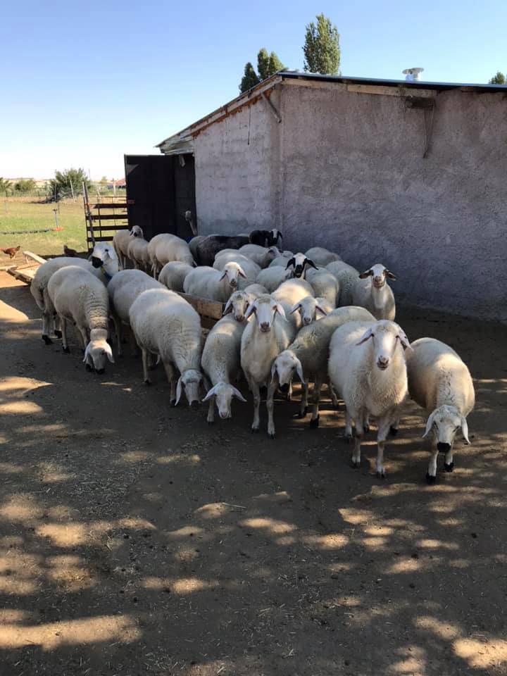 Seydişehir Akçalar Köyü Resimleri 6